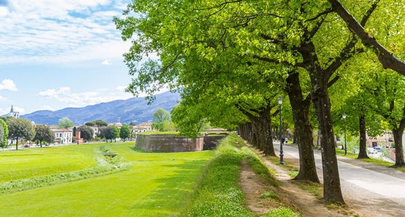 photo of view of Panorama of trees on the historic surrounding city wall of Lucca, Italy