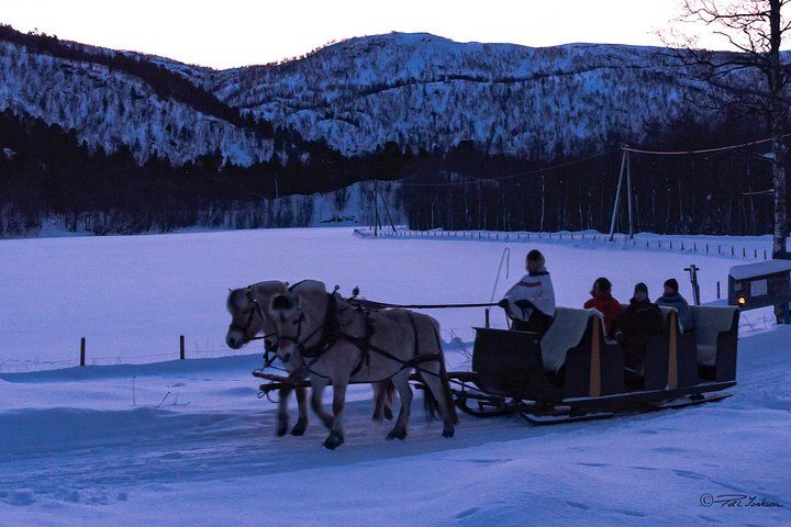 Sleigh Ride w/ Tapas Meal - Experience Arctic Farm Life 
