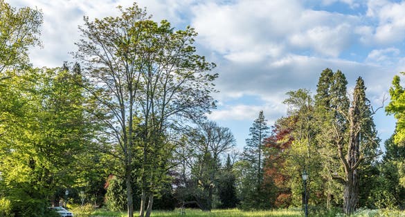 Photo of scenic park in darmstadt, Germany .
