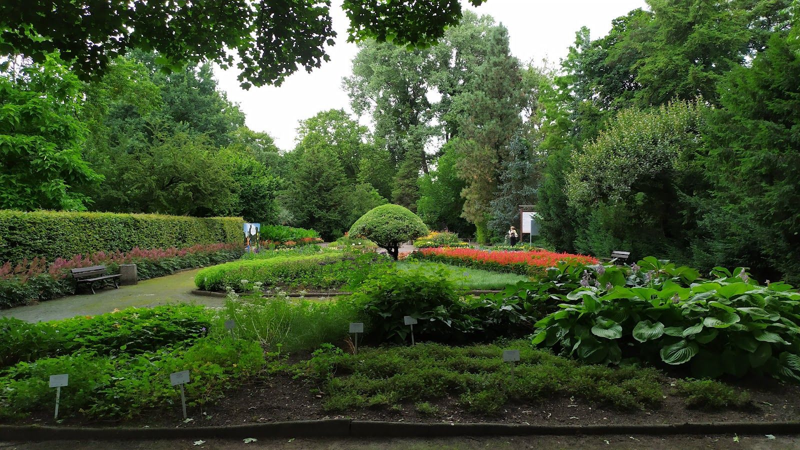 Municipal Botanical Garden, Centrum Południe, Zabrze, Górnośląsko-Zagłębiowska Metropolia, Silesian Voivodeship, Poland