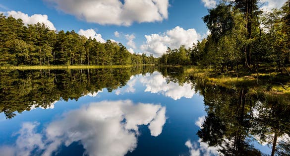 photo of Biskopstorps nature reserve in the beginning of autumn in Halland County, Sweden.