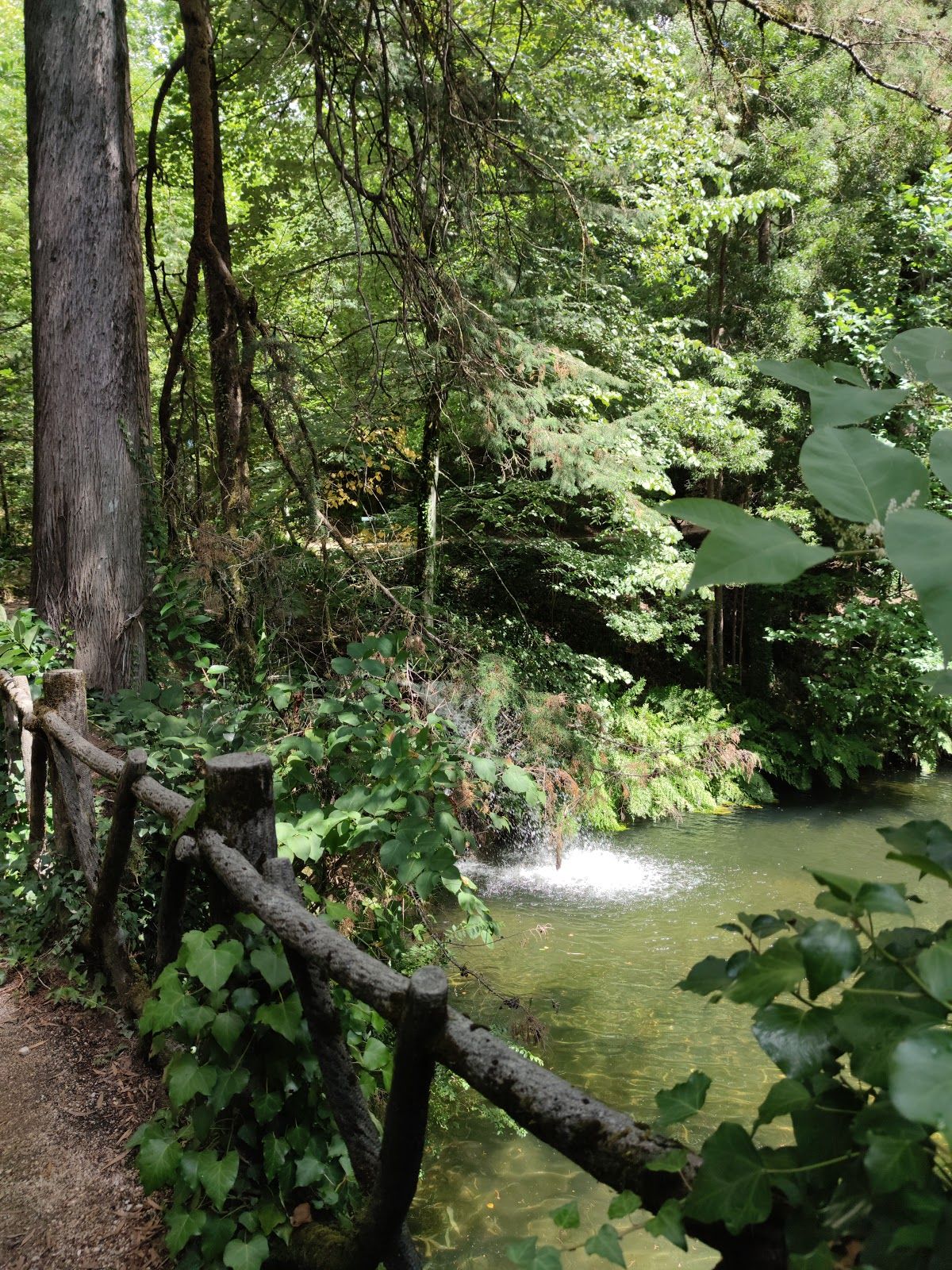 Parque das Termas, Termas do Gerês, Vilar da Veiga, Terras de Bouro, Braga, Cávado, North, Portugal