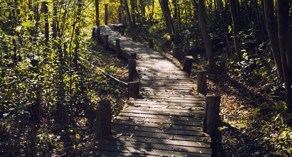 Walking trail in the nature reserve Haff Reimech leading to ornithology center Biodiversum in Remerschen near Schengen, Luxembourg. Nature and bird protection concept.