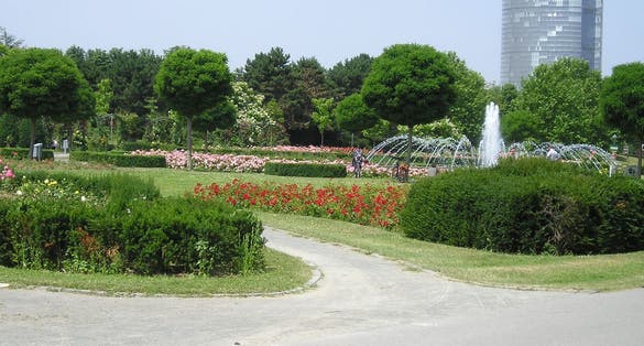 photo of view of Freizeitpark Rheinaue,Bonn Germany.