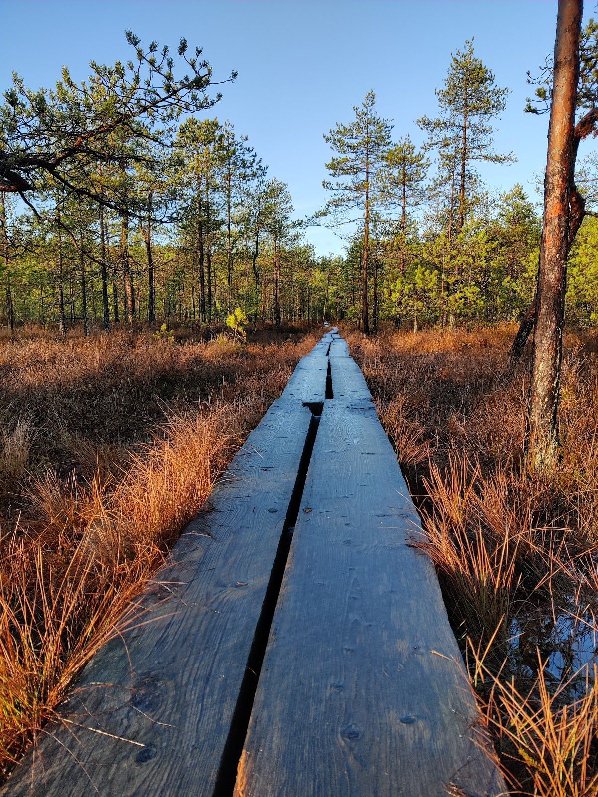 Linnaistensuon luontopolku, Lahti, Lahden seutukunta, Päijät-Häme, Southern Finland, Mainland Finland, Finland