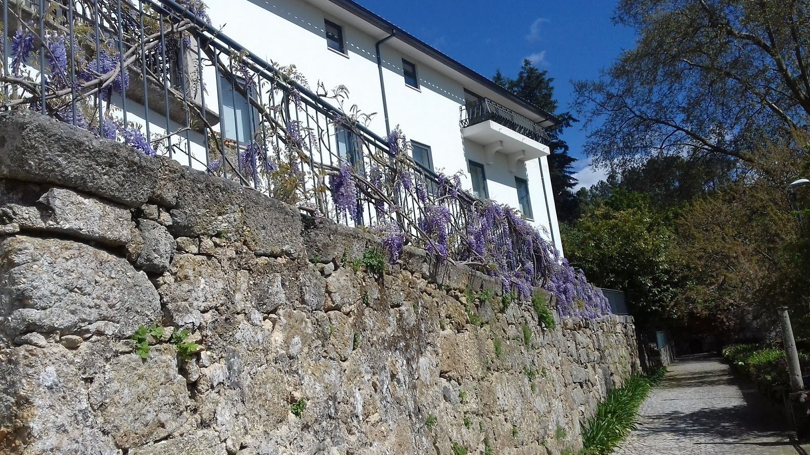 Quinta da Cruz, São Salvador, U.F Repeses e São Salvador, Viseu, Viseu Dão-Lafões, Centro, Portugal