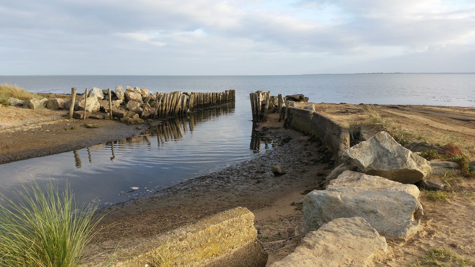 Wexford Wildfowl Reserve, North West Slob, Ardcavan ED, The Borough District of Wexford, County Wexford, Leinster, Ireland