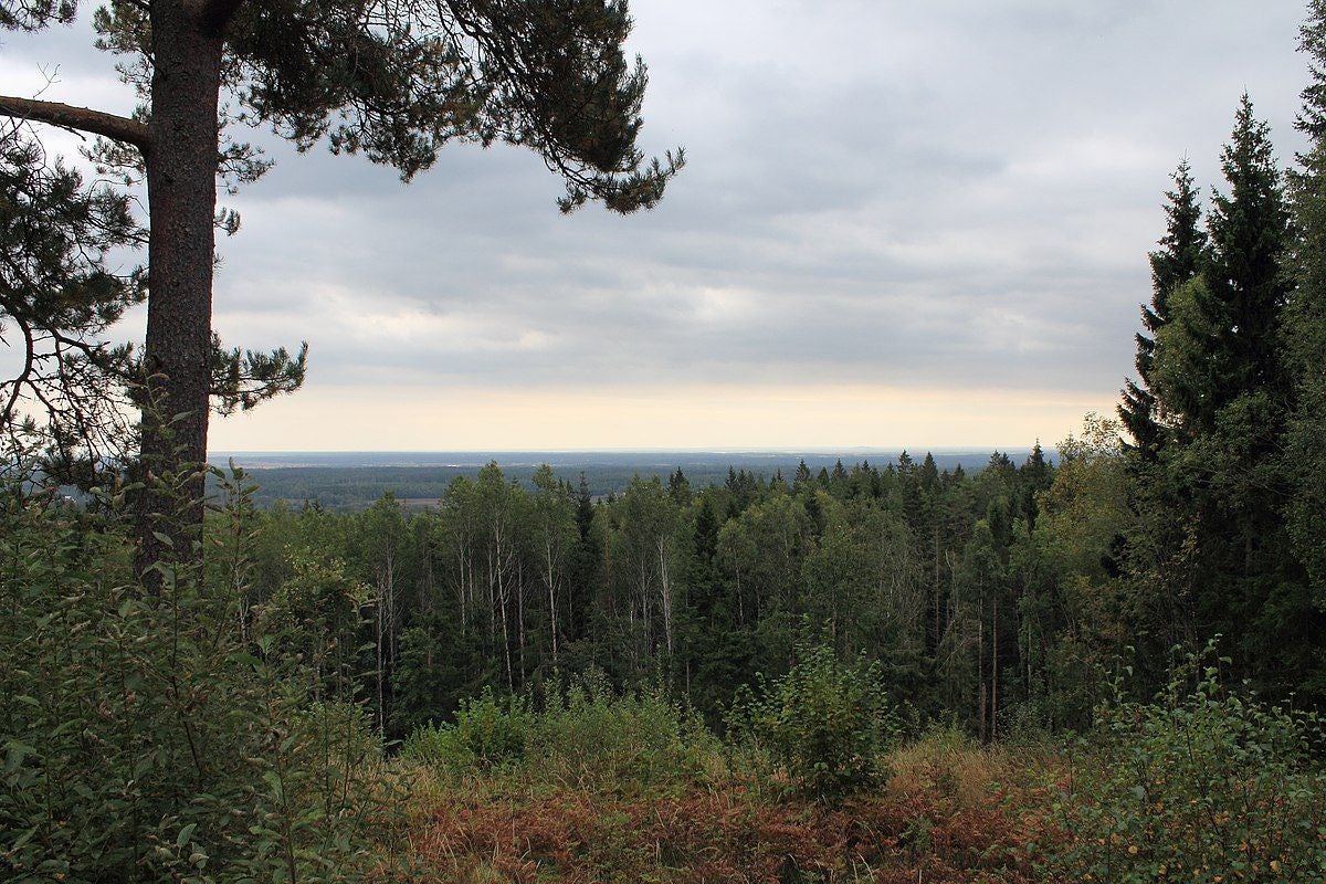photo of Garphyttan National Park in Sweden.