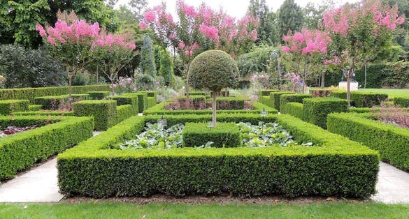photo of Arboretum Gaston Allard in Angers, France.