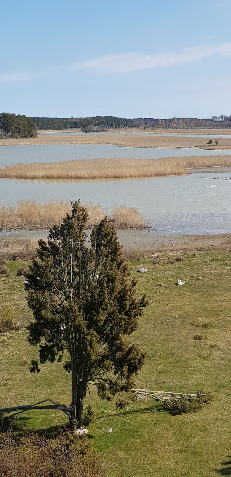 Svensksundsviken Naturreservat, Norrköpings kommun, Östergötland County, Sweden