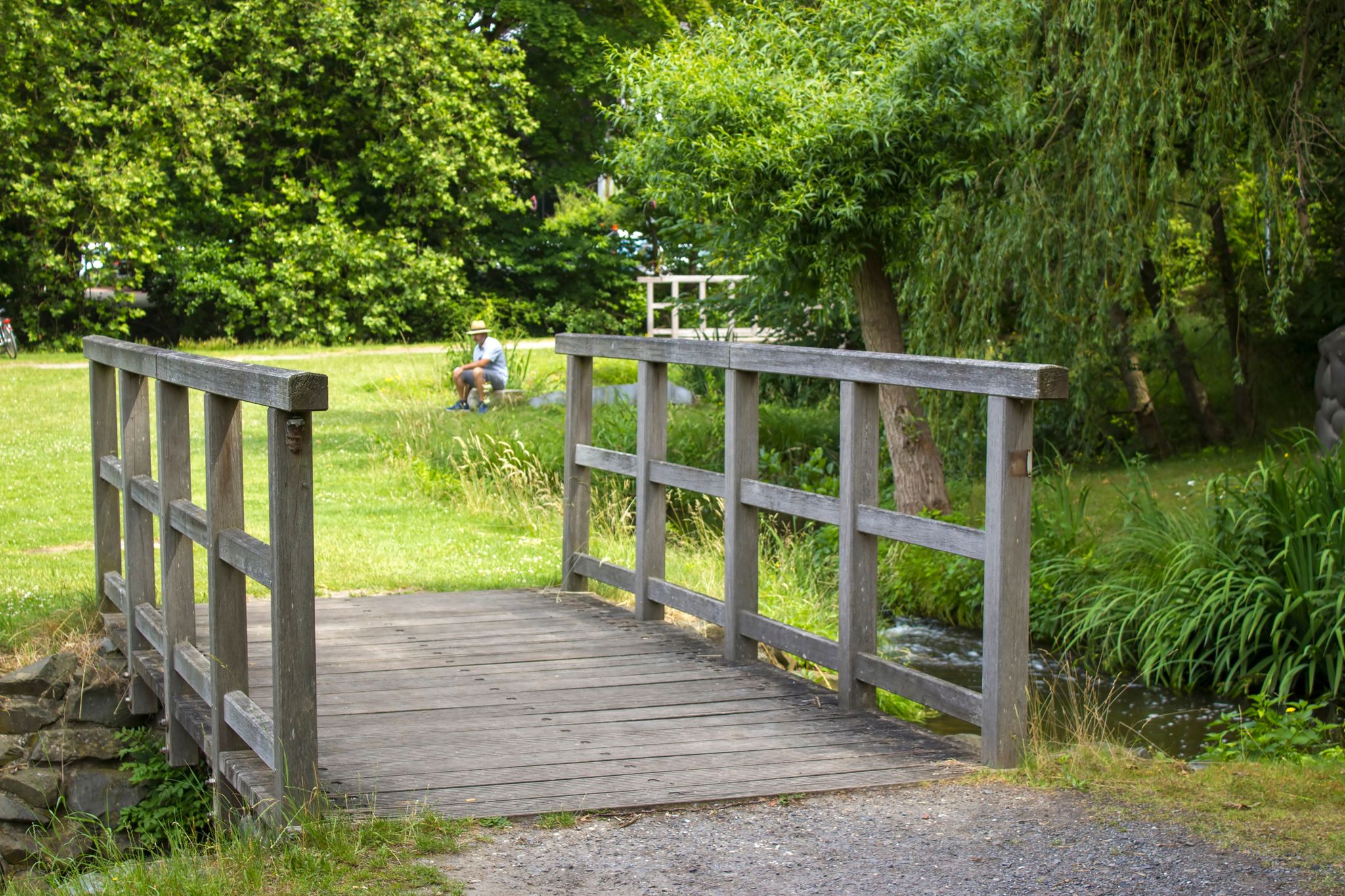 View on isolated wooden pier in german lake with green forest background - Krickenbecker Seen, Viersen Nettetal, Germany