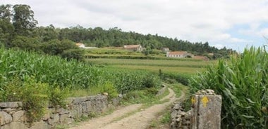 Portuguese Coastal Camino - Viana do Castelo to Santiago
