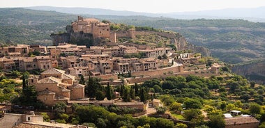 Full-day Somontano Wine Excursion and Visit Alquezar