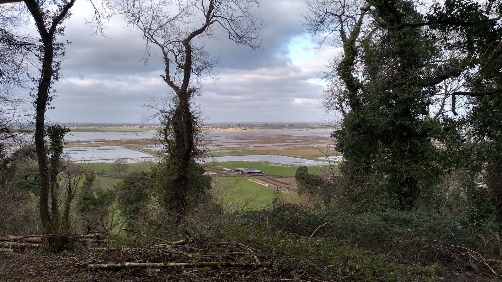 RSPB Swell Wood, Fivehead, South Somerset, Somerset, South West England, England, United Kingdom