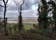 RSPB Swell Wood, Fivehead, South Somerset, Somerset, South West England, England, United Kingdom