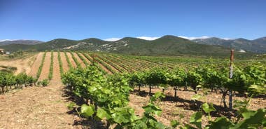 Photo of colorful houses on the shore of Bastia port, bright morning view of Corsica island, France.