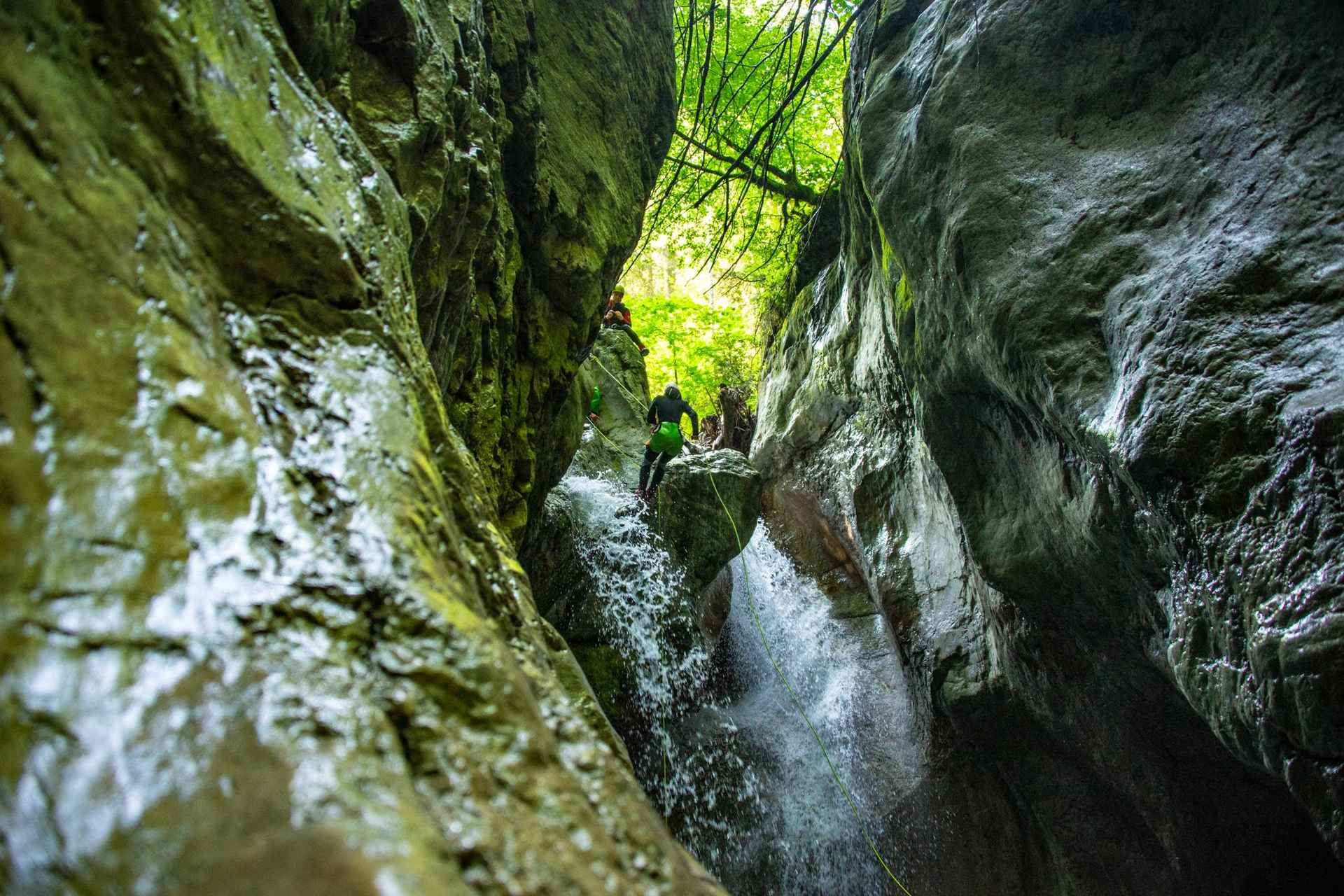 Dornbirn: Merlins World canyoning experience for beginners