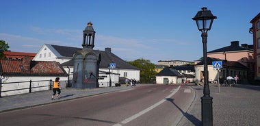 Uppsala Must See 2h city walk - 2h tour of all big attractions!