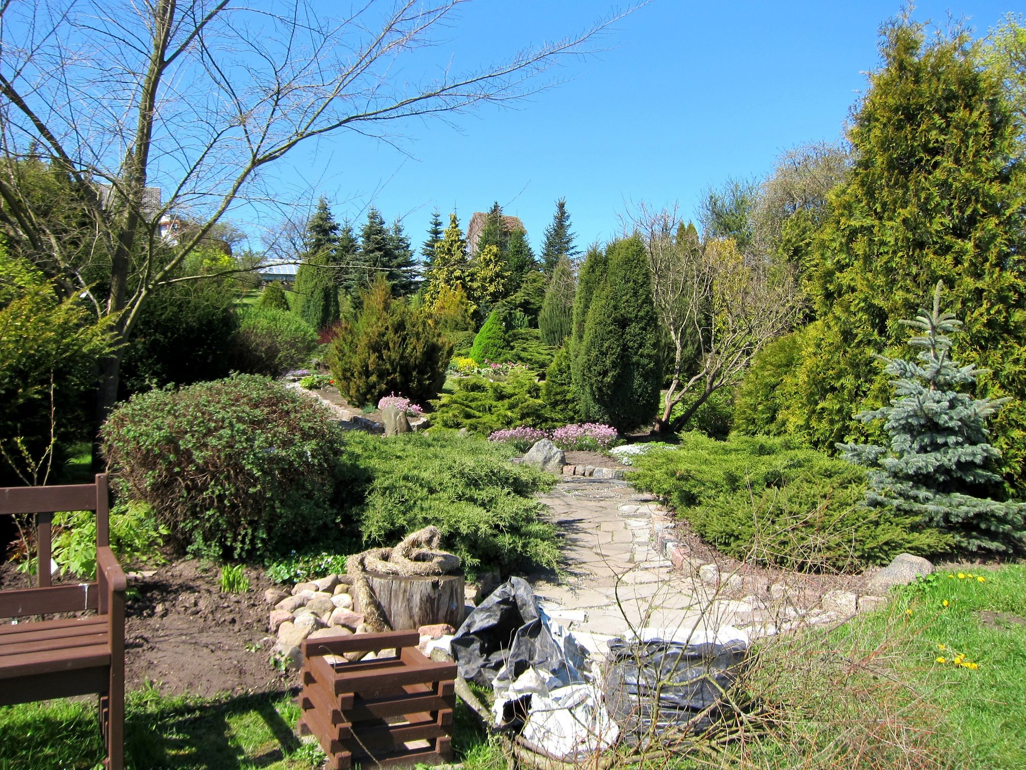photo of botanical garden in Lithuania, Baltic states nature. Flowers and grass. A garden dedicated to the collection, cultivation and display of a wide range of plants labelled with their botanical names.