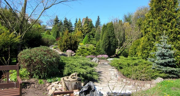 photo of botanical garden in Lithuania, Baltic states nature. Flowers and grass. A garden dedicated to the collection, cultivation and display of a wide range of plants labelled with their botanical names.