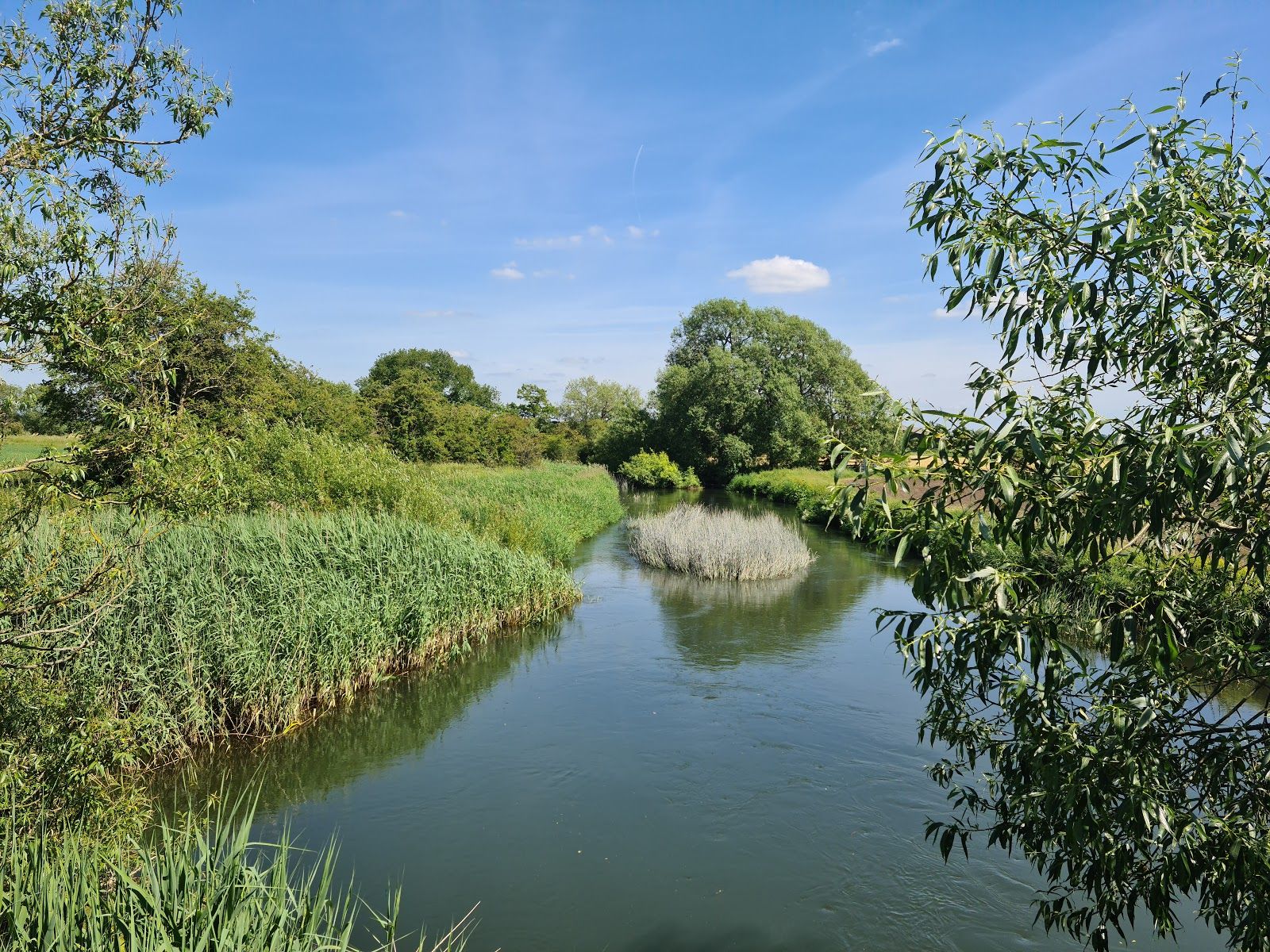 River Thames, Hedsor, Buckinghamshire, South East England, England, United Kingdom