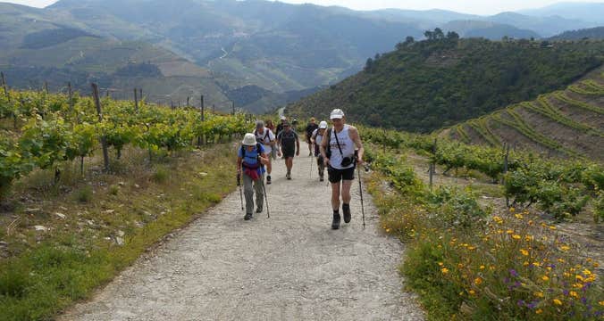 Douro Vineyards Hike