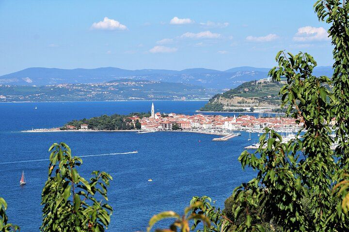 Piran & Panoramic Slovenian Coast - Small Group Tour from Koper