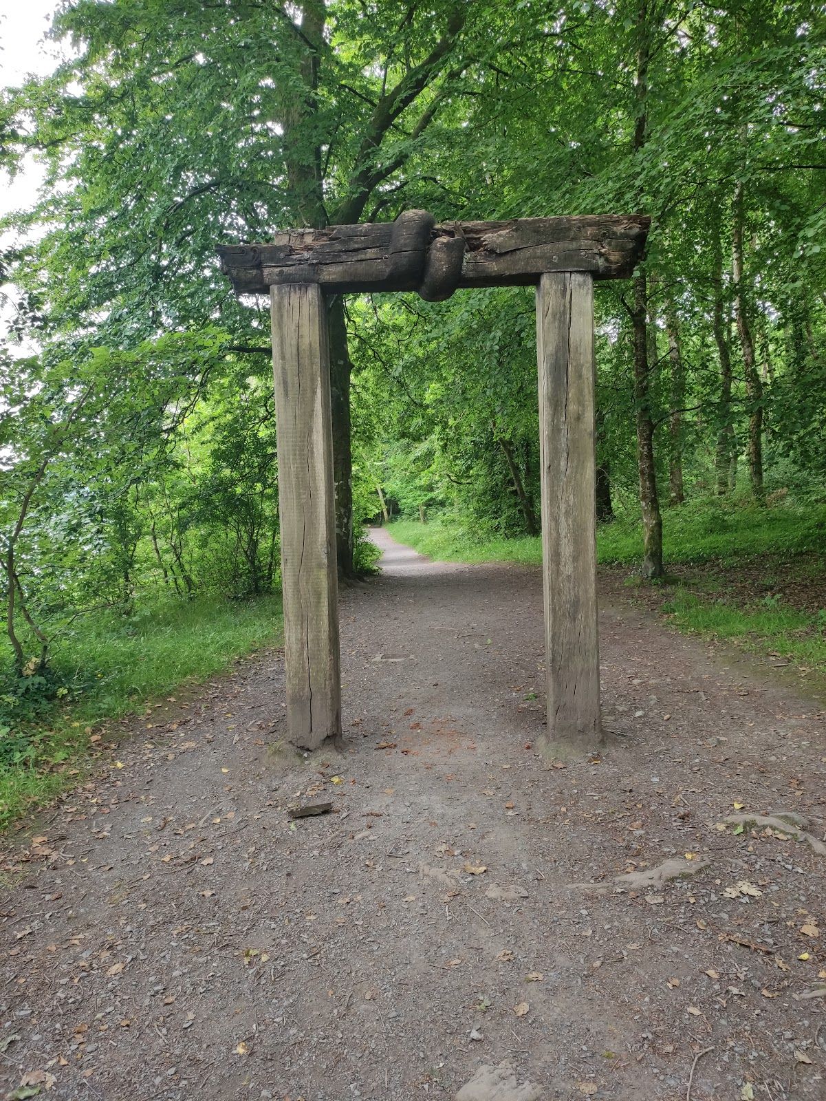 Hazelwood Forest, Hazelwood Demesne, Calry ED, Sligo Municipal Borough District, County Sligo, Connacht, Ireland