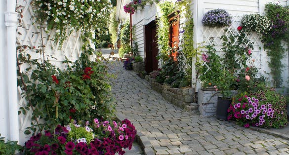 Photo of street with traditional white wooden houses and flowers in pots in Gamle Stavanger in Rogaland, Norway.