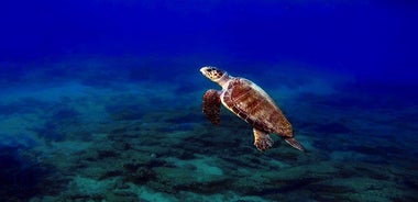 Nima Diving Center, Naxos, Greece