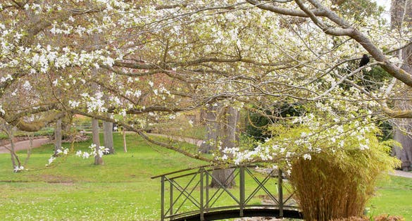 photo of DBW's Botanical Garden in Visby, Sweden.