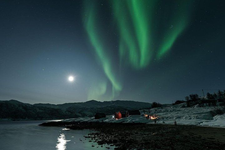 Norway: Northern Lights Hunting and Photography Trip from Tromso