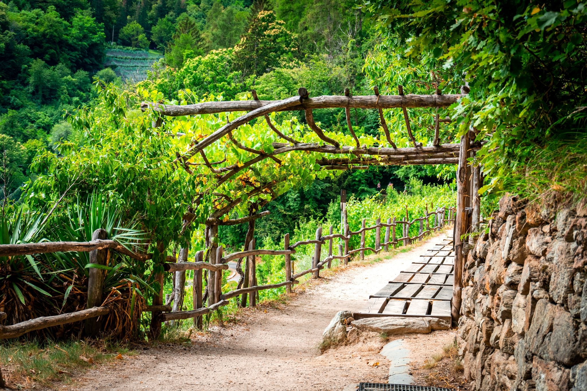 Hiking along the Marlinger Waalweg near Meran in South Tyrol Italy. With some Views over wineyards, the City of Meran, Marling and other Villages