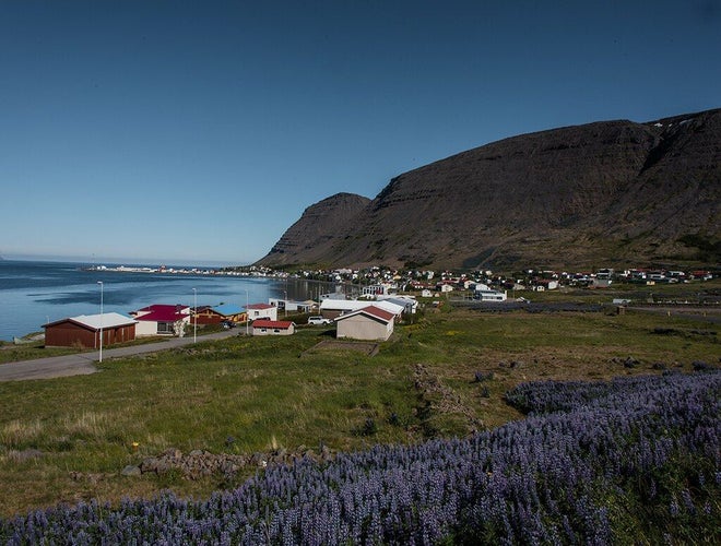 Patreksfjordur_hiticeland_westfjords.jpg