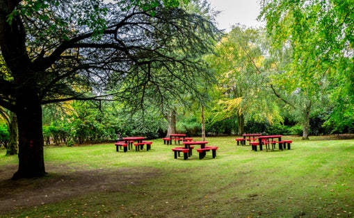 Photo of small meadow with red tables and benches for family picnics in Hazlehead park, Aberdeen, Scotland .