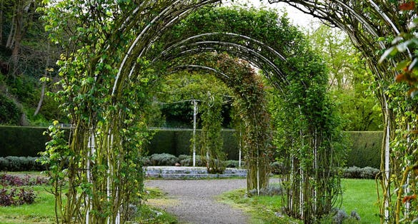 Photo of City of Heilbronn Germany with beautiful panorama and nature parks, wooden bridge, flowers and a small stream .