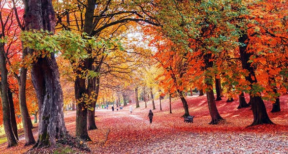 Lister Park, Bradford, England