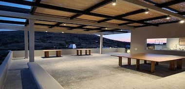 Winery Tour and Tasting in Tinos with the Winemaker