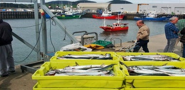 Santoña: Anchovy Factory & Boat Trip with tickets-small groups