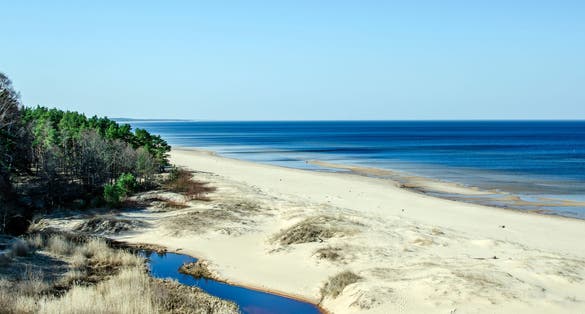 photo of the white dune and baltic see at saulkrasti in spring, Latvia. White sand beach near conifer trees forest in baltic.