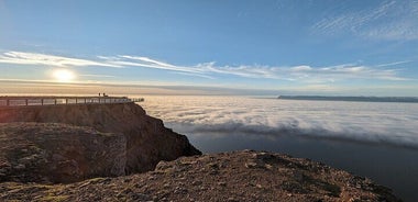 Westfjords Iceland Shore Excursion