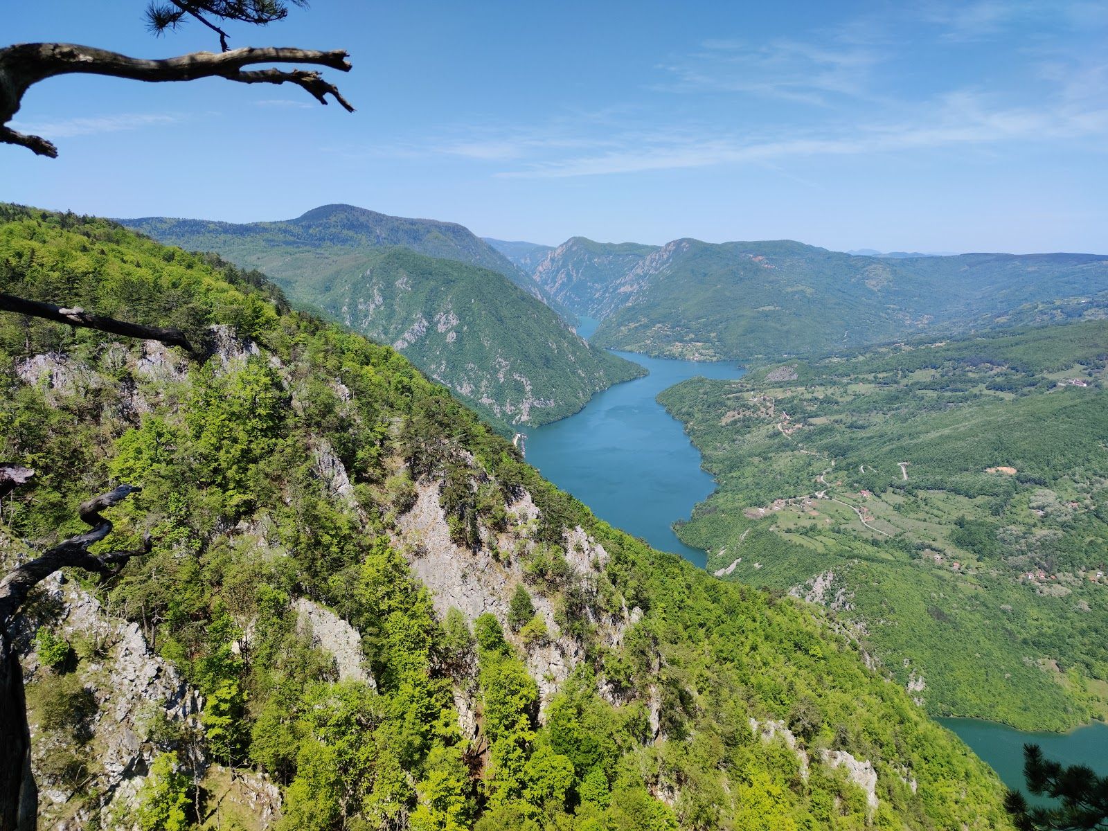 Tara National Nature Preserve Park, Rastiste, Bajina Basta Municipality, Zlatibor Administrative District, Central Serbia, Serbia