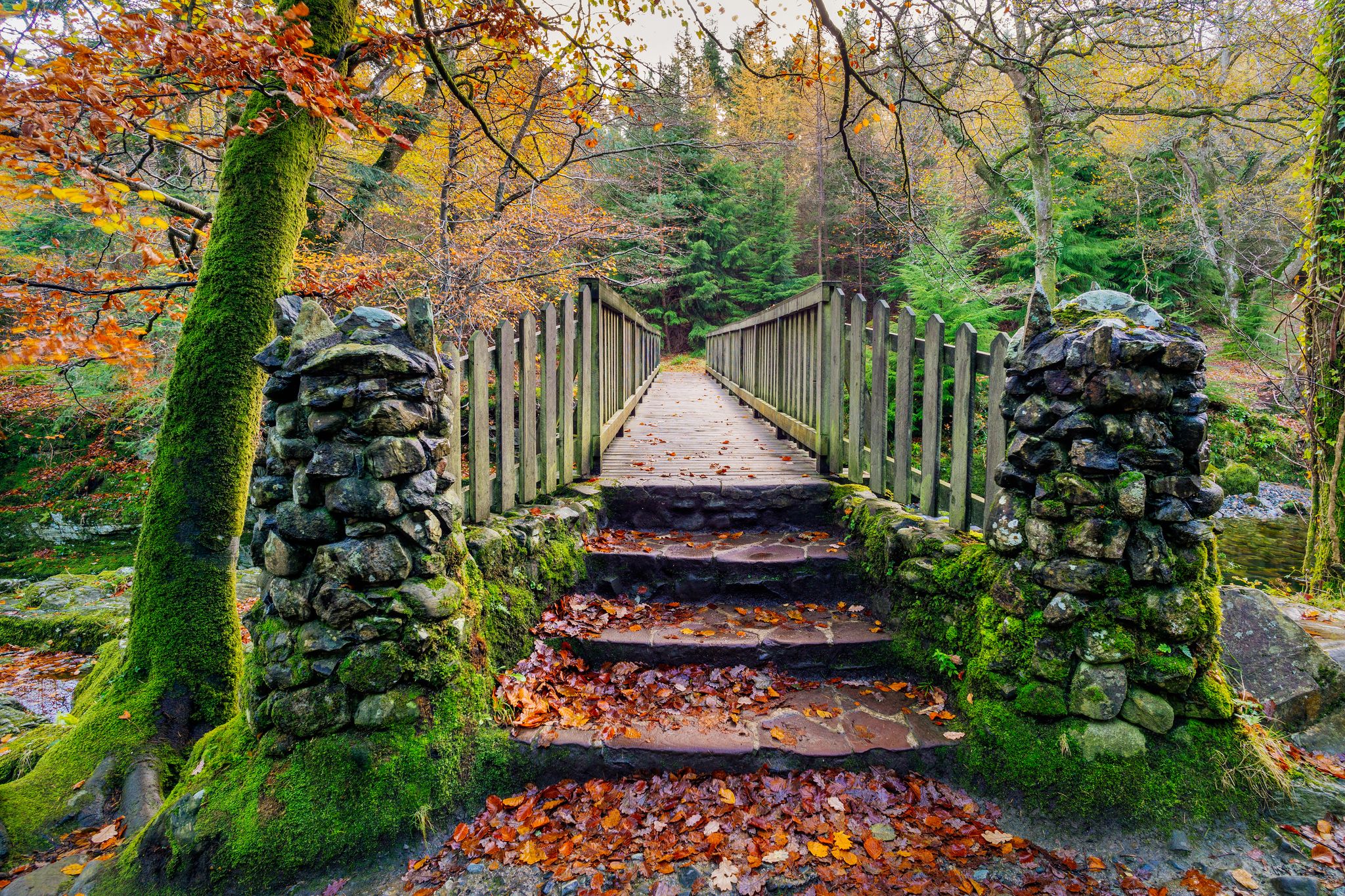 Two stone pillars and steps of old wooden bridge with mossy rocks in Tollymore Forest Park in autumn, Newcastle, County Down, Northern Ireland.
