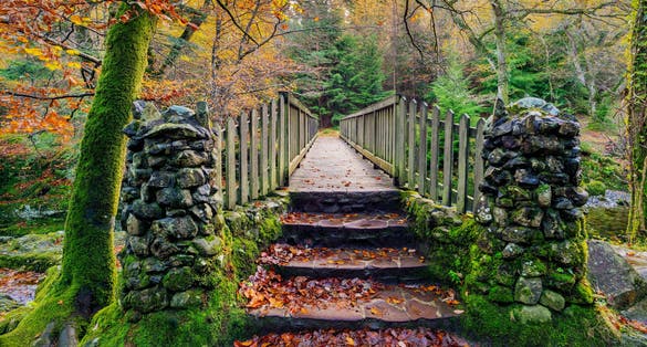 Two stone pillars and steps of old wooden bridge with mossy rocks in Tollymore Forest Park in autumn, Newcastle, County Down, Northern Ireland.