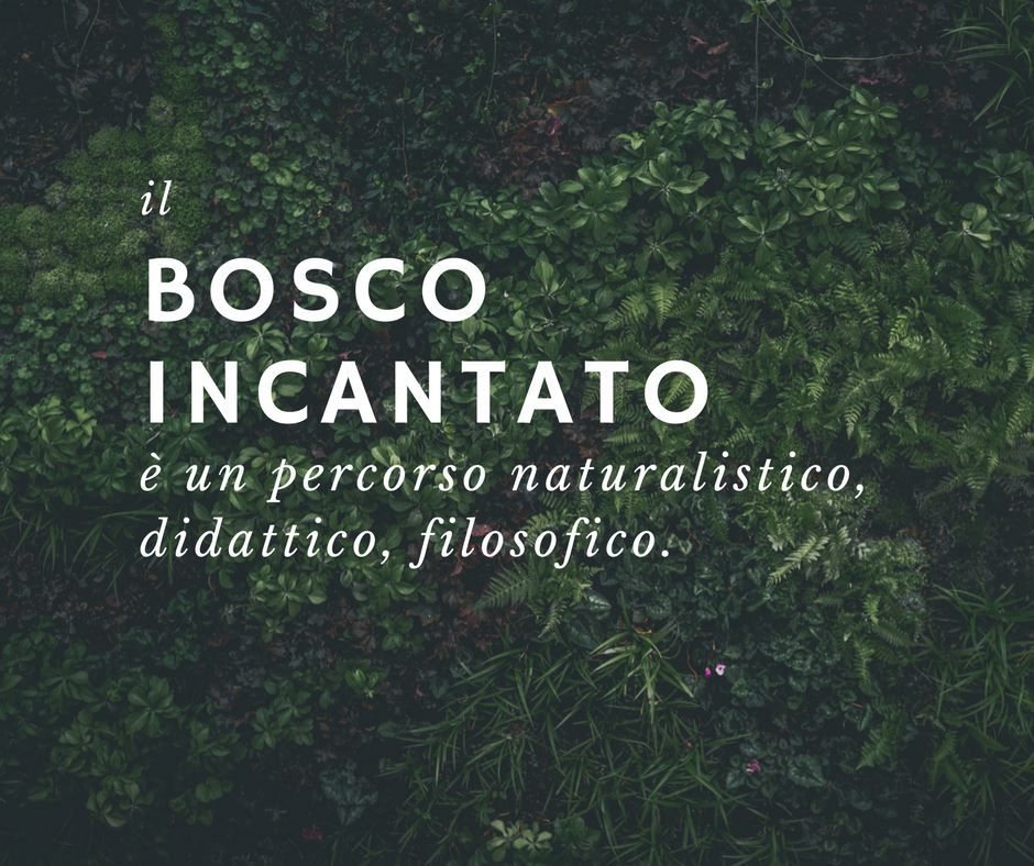 The Enchanted Forest, Ostana, Cuneo, Piemont, Italy