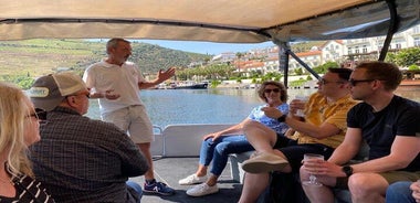 Small Group Douro Valley Wine Tour with Lunch and Cruise