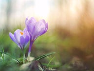 Excursiones de primavera