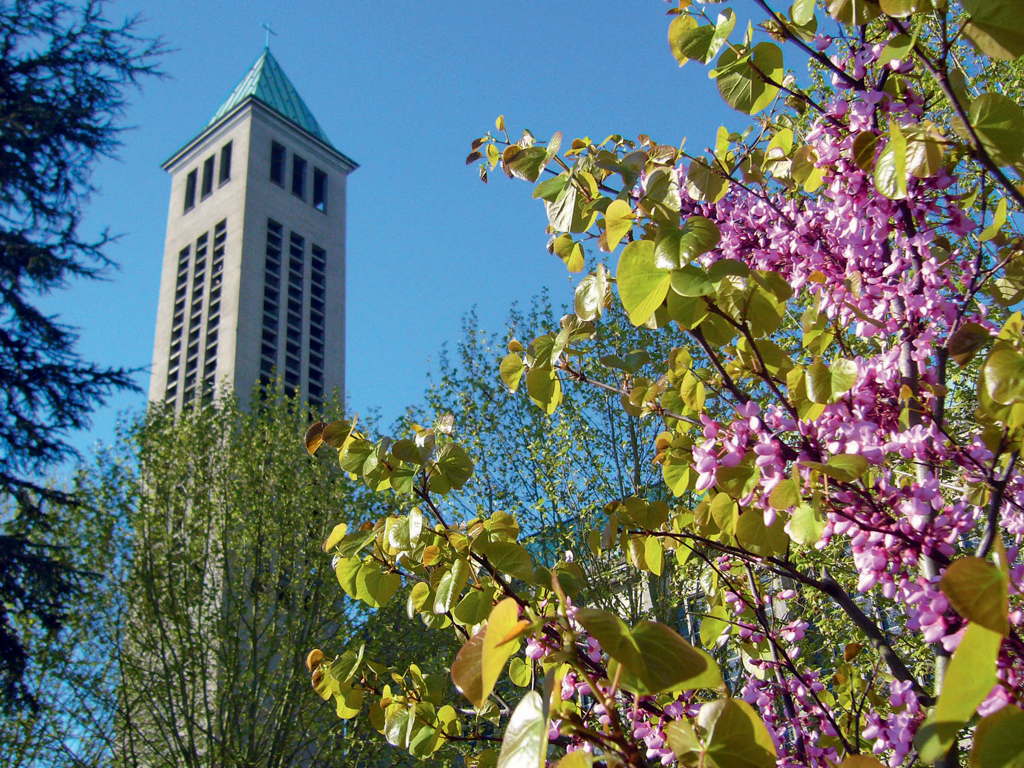 Basilica of Our Lady of the Trinity, Blois, Loir-et-Cher, Centre-Loire Valley, Metropolitan France, France