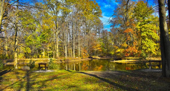 A Beautiful Autumn Day at the Park in Sosnowiec ,Poland.