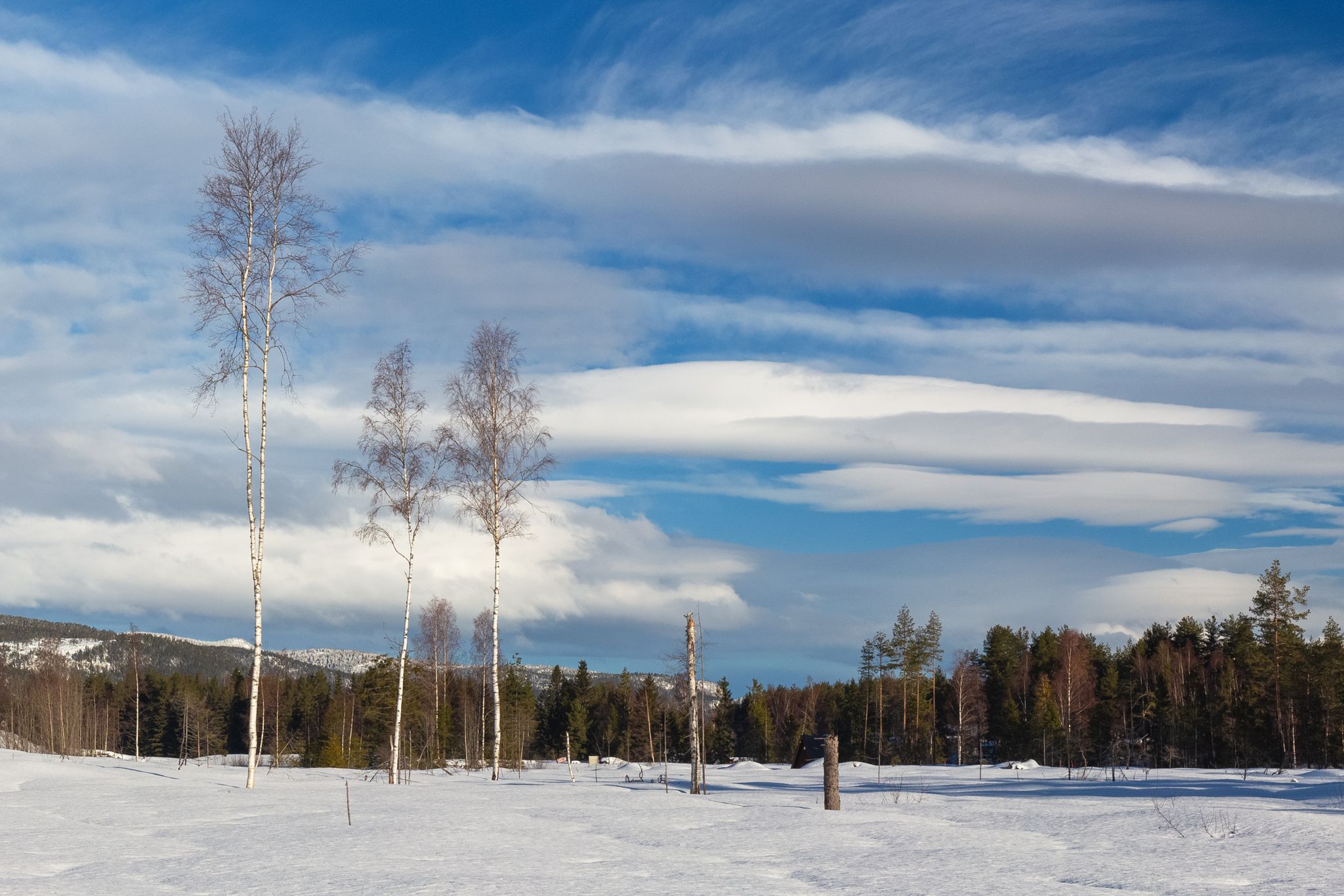 Photo of snowing in winter , Kongsberg, Norway.
